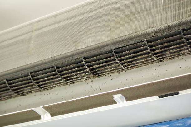 Best Emergency Air Duct Cleaning  in Arnold, MO